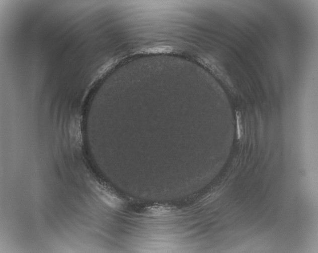 X0000066110300200603241551