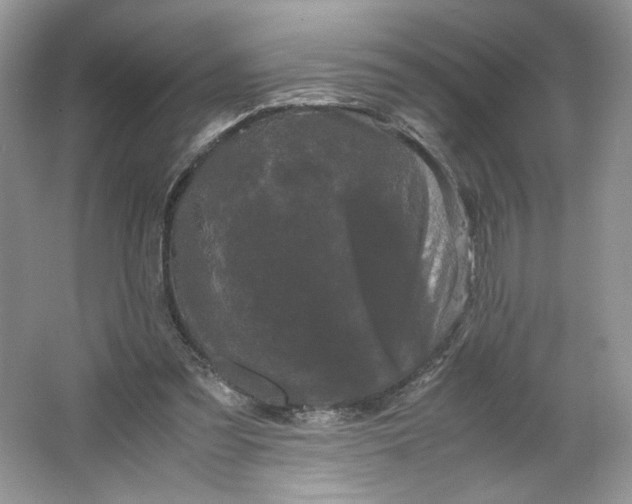 X0000066110301200603241551