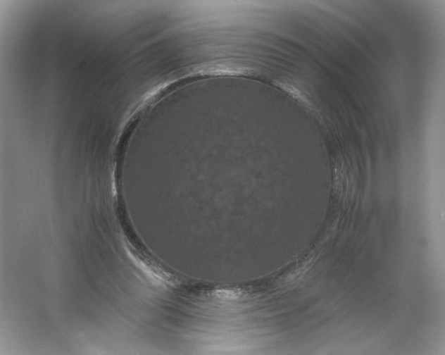 X0000066110302200603241551