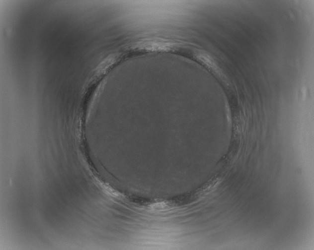 X0000066110309200603241551