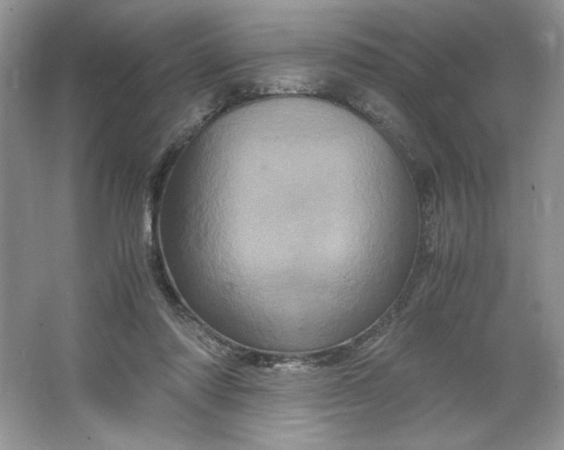 X0000066110310200603241551