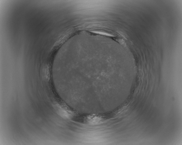 X0000066110311200603241551