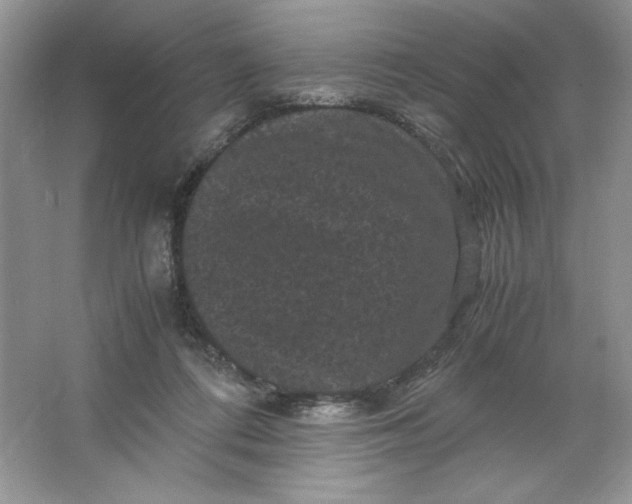 X0000066110312200603241551