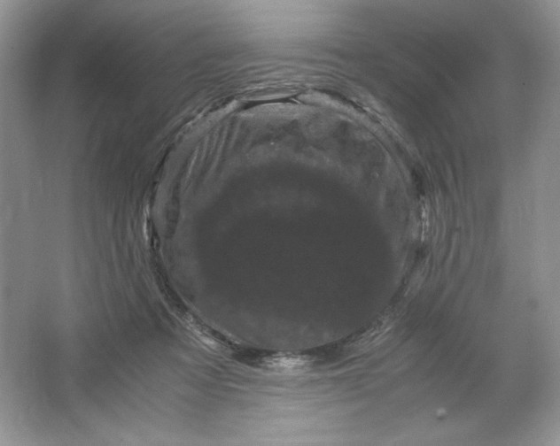 X0000066110313200603241551