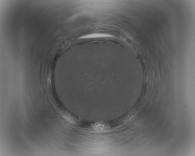 X0000066110315200603241551