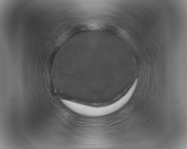 X0000066110317200603241551