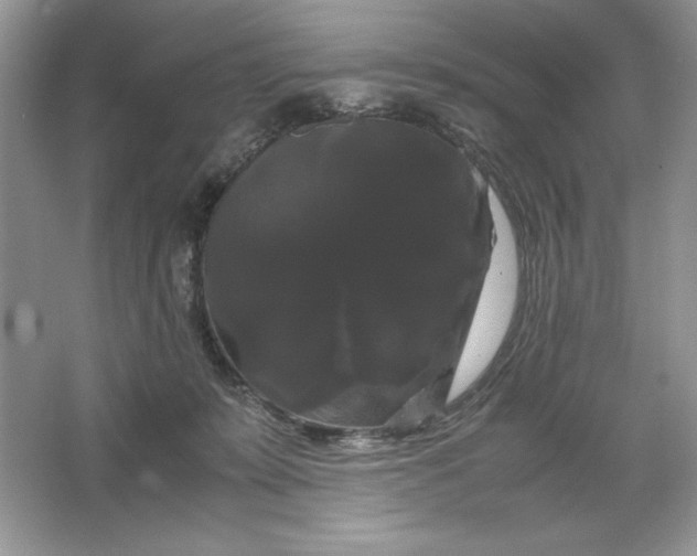 X0000066110319200603241551