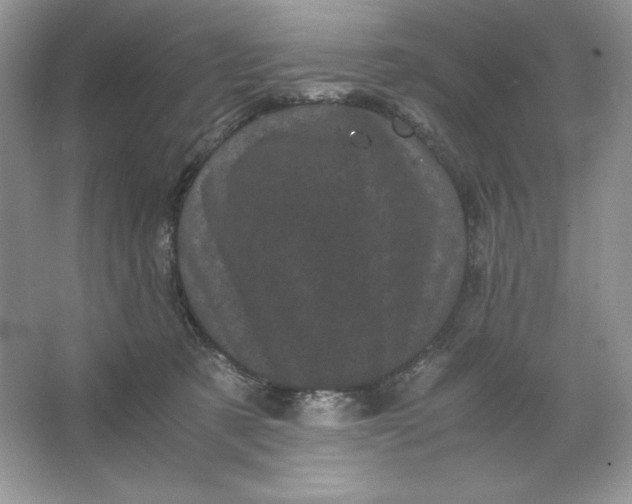 X0000066110321200603241551