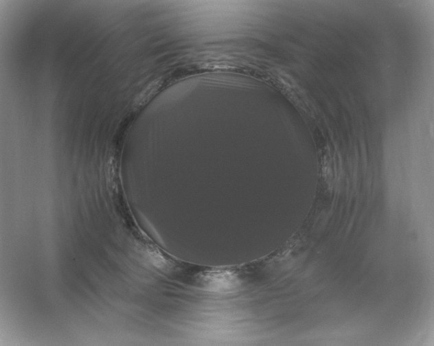 X0000066110322200603241551