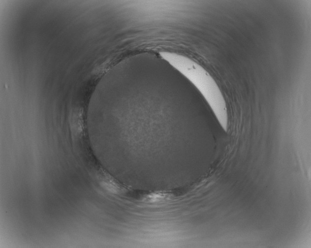 X0000066110323200603241551