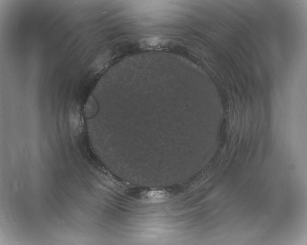 X0000066110324200603241551