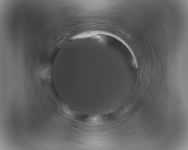 X0000066110325200603241551