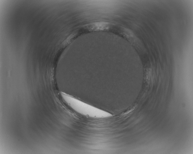 X0000066110326200603241551