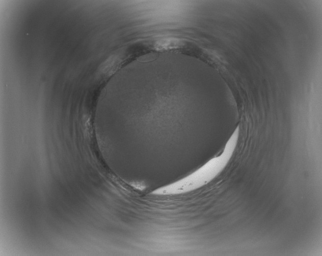 X0000066110327200603241551