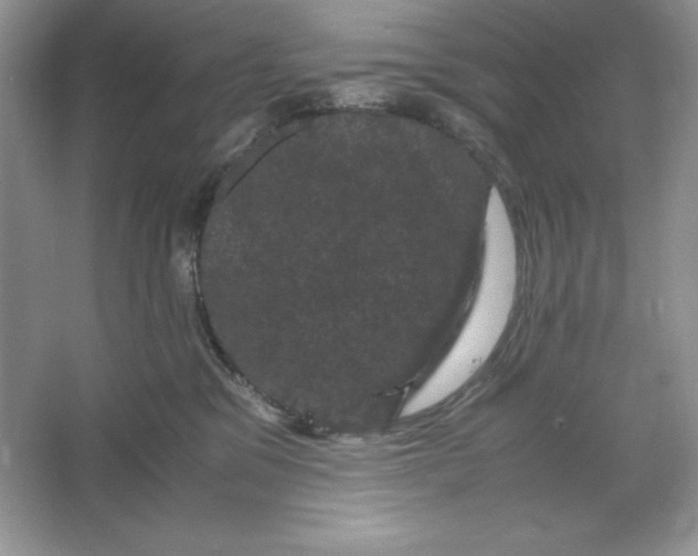 X0000066110329200603241551