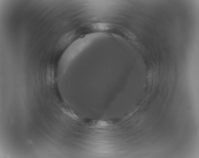 X0000066110330200603241551