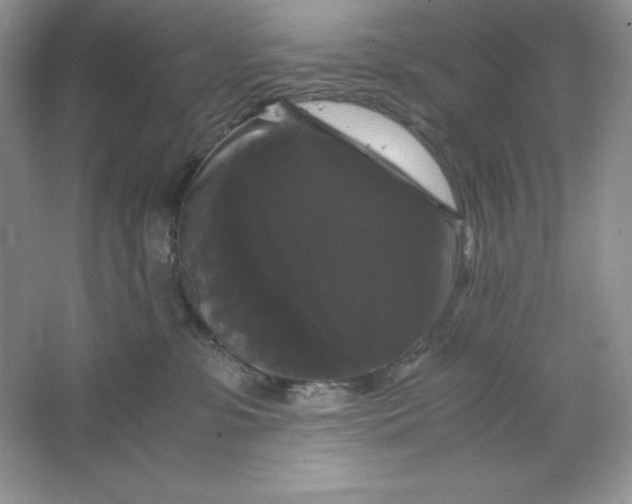 X0000066110331200603241550
