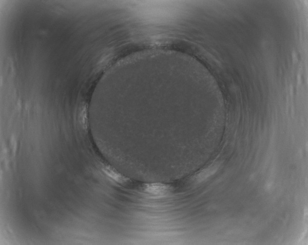 X0000066110336200603241550