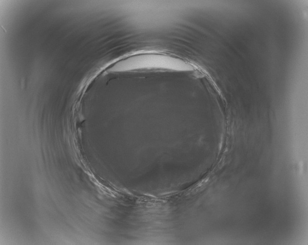 X0000066110337200603241550