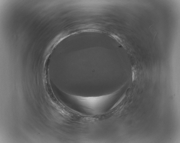 X0000066110339200603241550