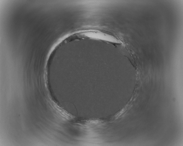 X0000066110342200603241550