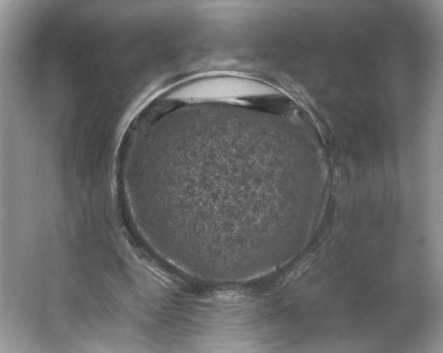 X0000066110344200603241550