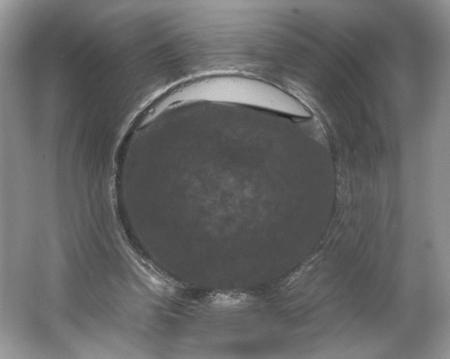 X0000066110346200603241550