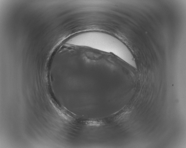 X0000066110347200603241550