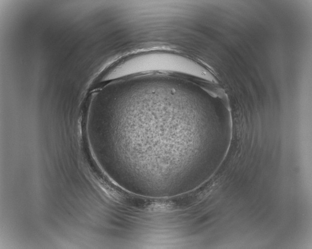 X0000066110350200603241550