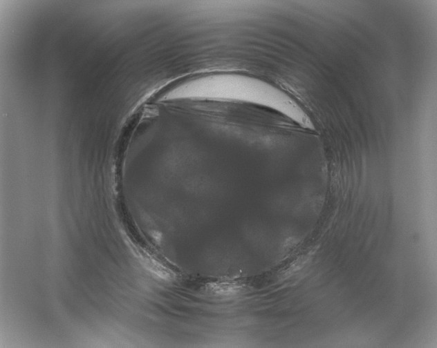 X0000066110351200603241550