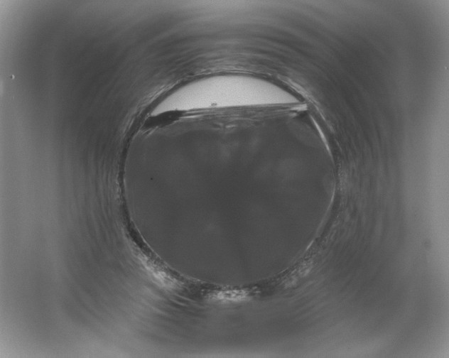 X0000066110353200603241550