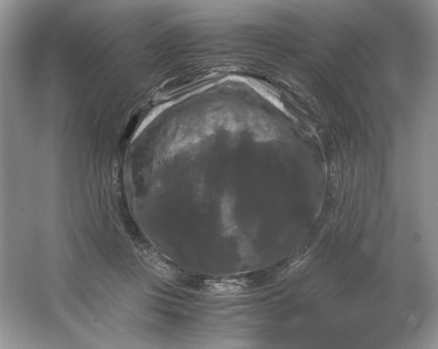 X0000066110359200603241550