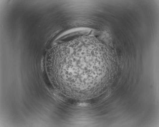 X0000066110360200603241550