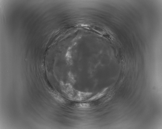 X0000066110361200603241550