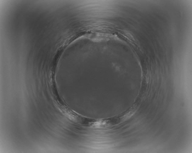 X0000066110366200603241550