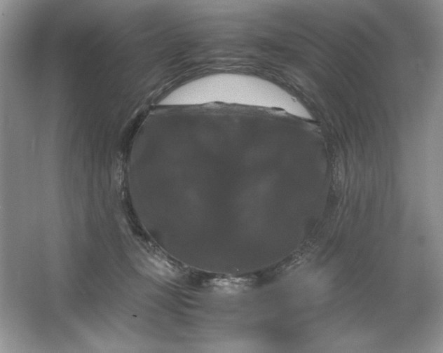 X0000066110367200603241550