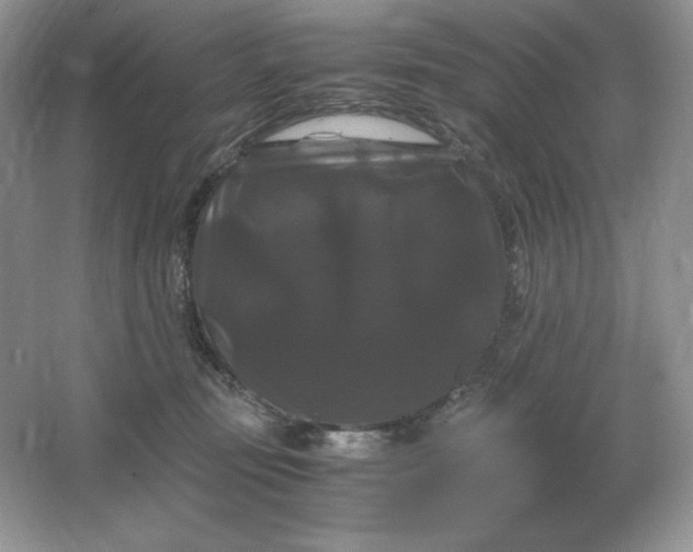 X0000066110371200603241550