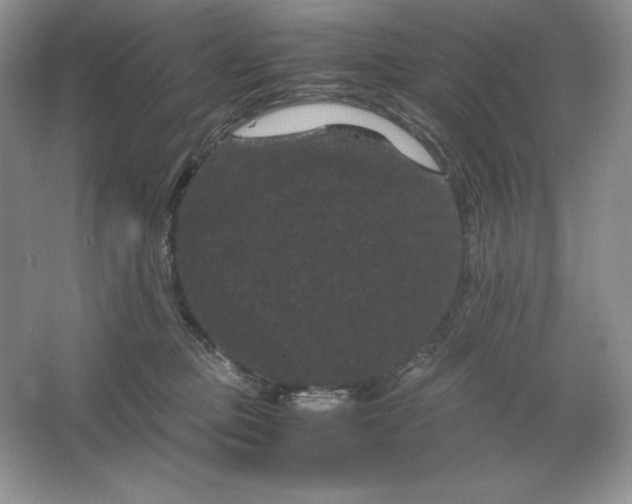 X0000066110373200603241550