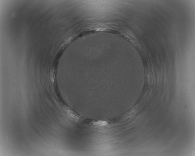 X0000066110374200603241550