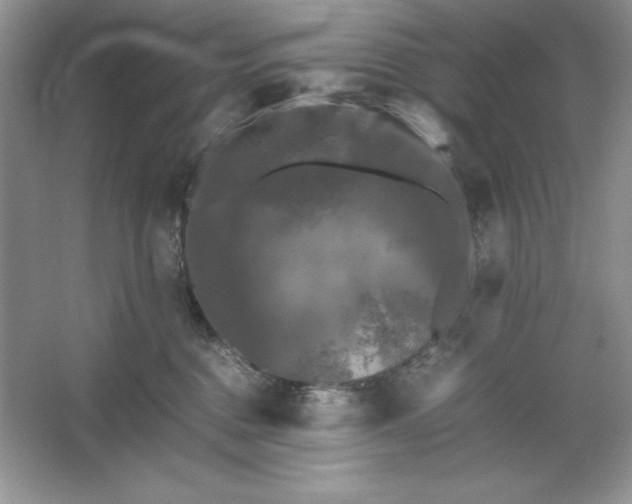 X0000066110376200603241550