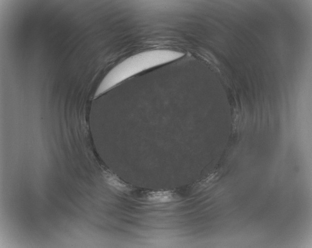X0000066110377200603241550