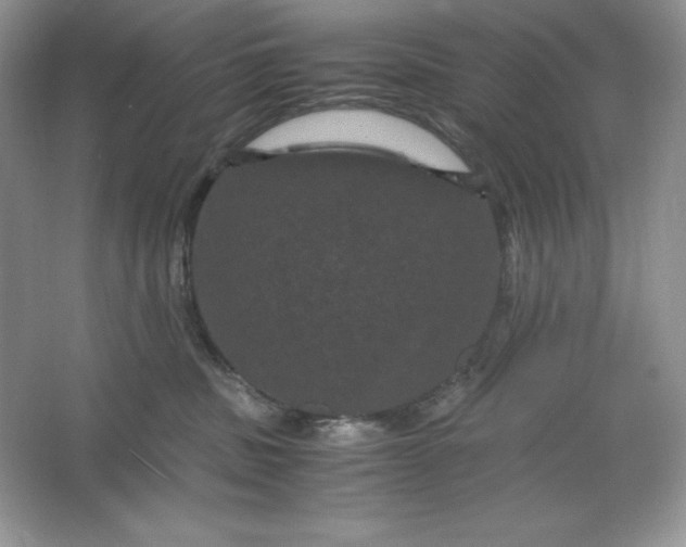 X0000066110379200603241550