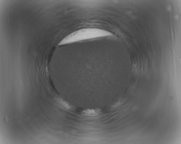 X0000066110381200603241550
