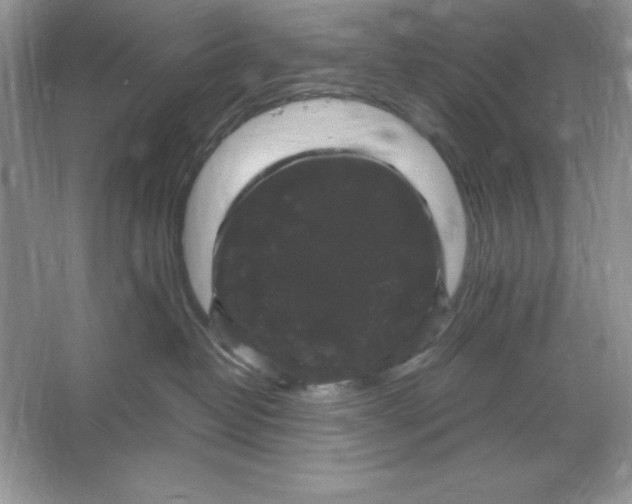 X0000066110382200603241550