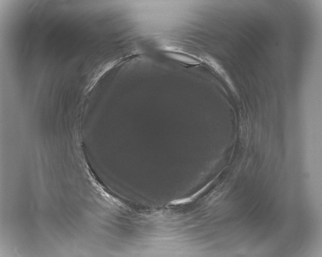 X0000066110385200603241550