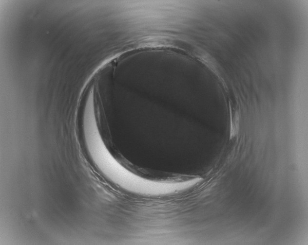 X0000066110387200603241550
