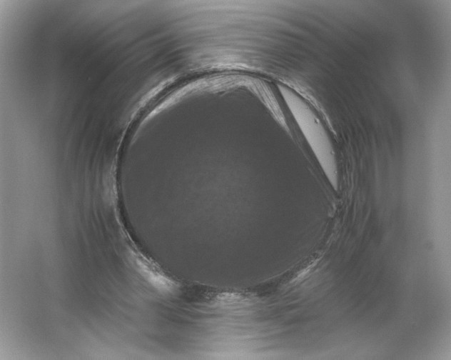 X0000066110390200603241550