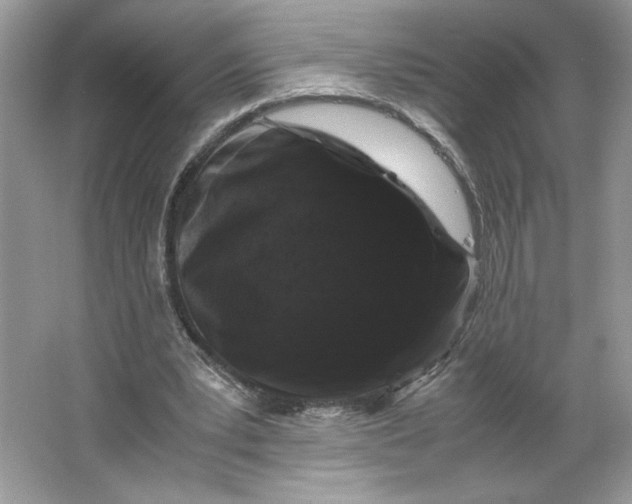 X0000066110391200603241549