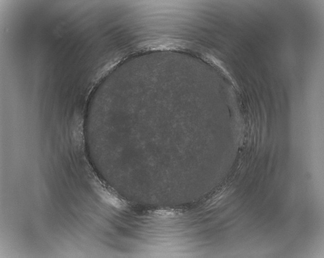 X0000066110394200603241549