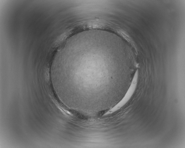 X0000066110401200603241549